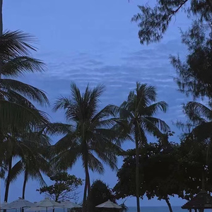 kendra sunderland成人视频观看
